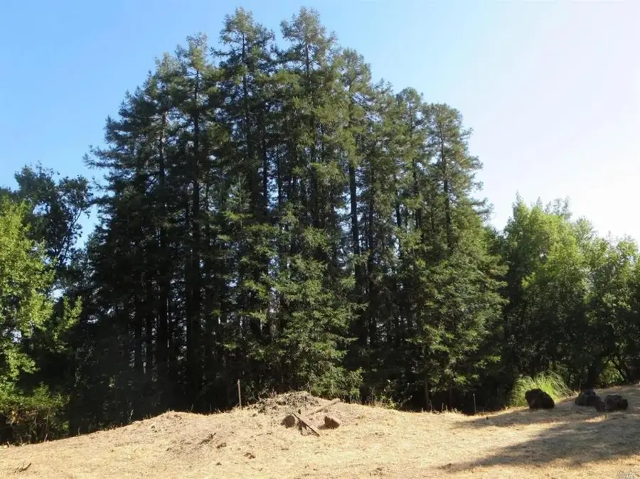 29 Red Rock Way, San Rafael, CA 94903 - Image #3