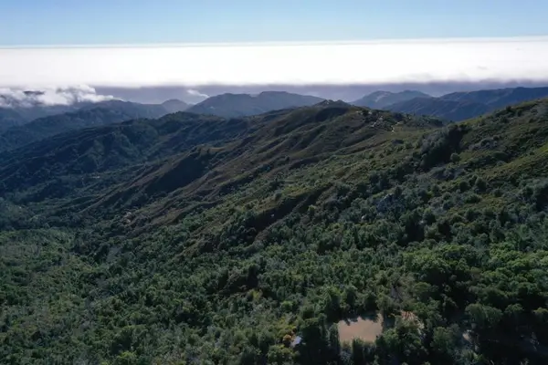 38875 Palo Colorado Road, Carmel, CA 93923