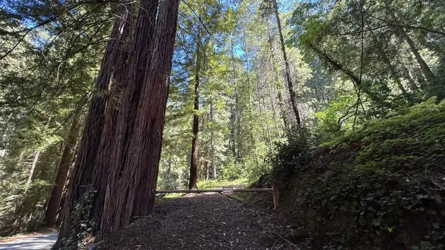 15645 Stetson Road, Los Gatos, CA 95033 - Image #2