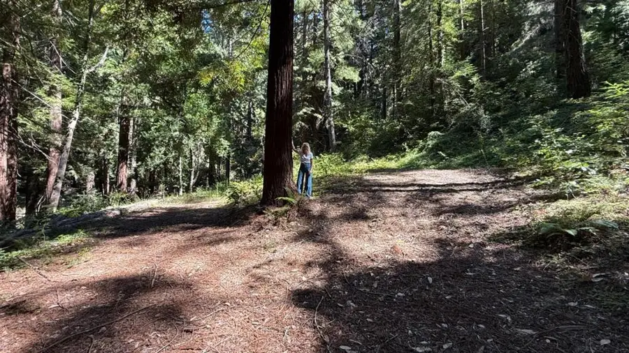 15645 Stetson Road, Los Gatos, CA 95033 - Image #3