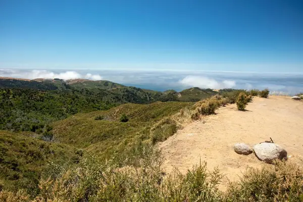 38805 Palo Colorado Road, Carmel, CA 93923