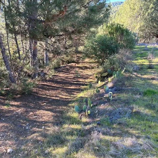 0 Croy Road, Morgan Hill, CA 95037 - Image #3