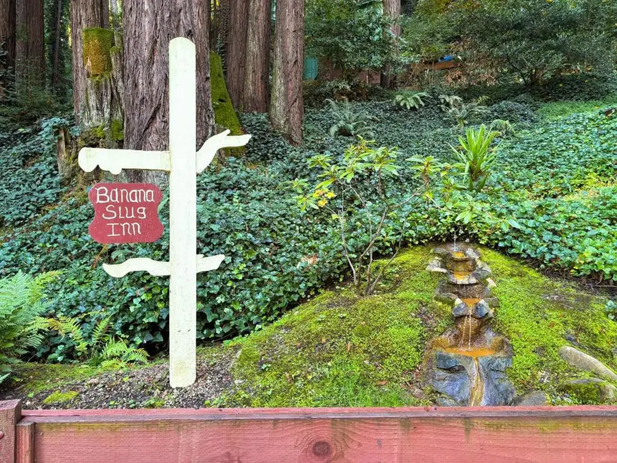 8787 Highway 9, Ben Lomond, CA 95005 - Image #2