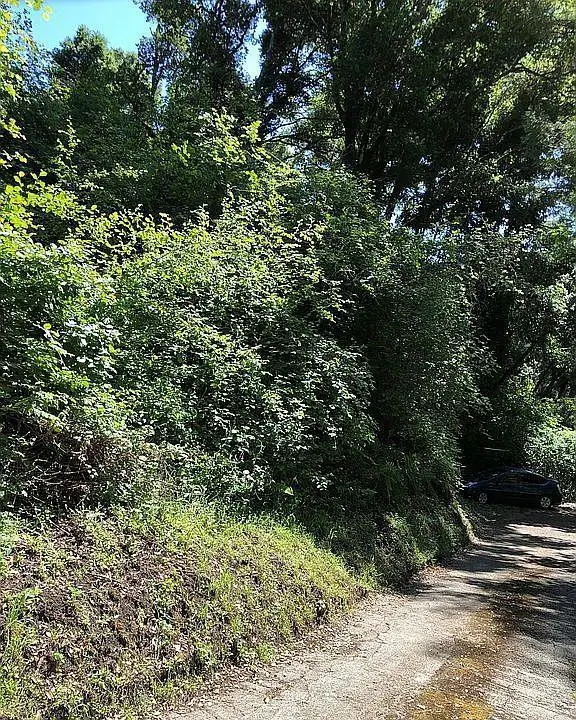 0 Farr, Aptos, CA 95003