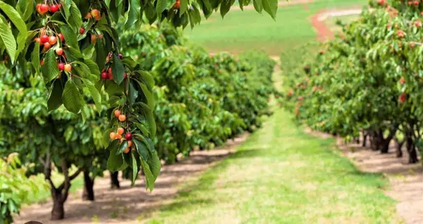 0 Apn 841-38-029, Gilroy, CA 95020