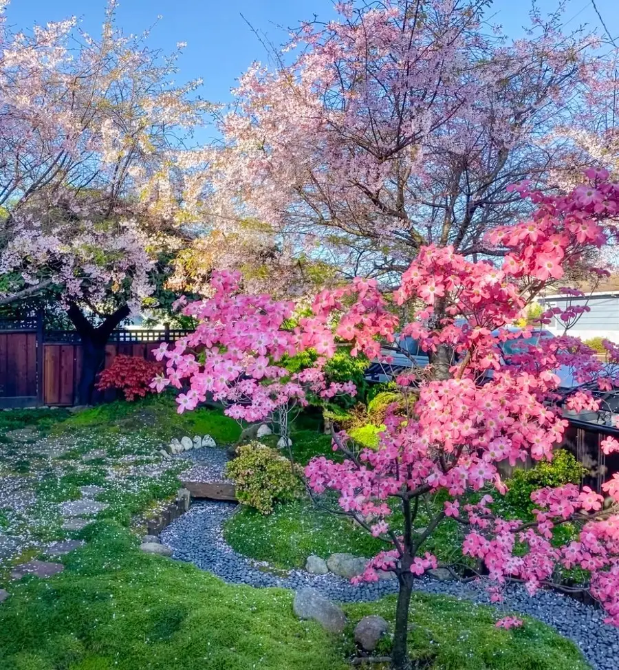 1318 Huron Avenue, San Mateo, CA 94401 - #2