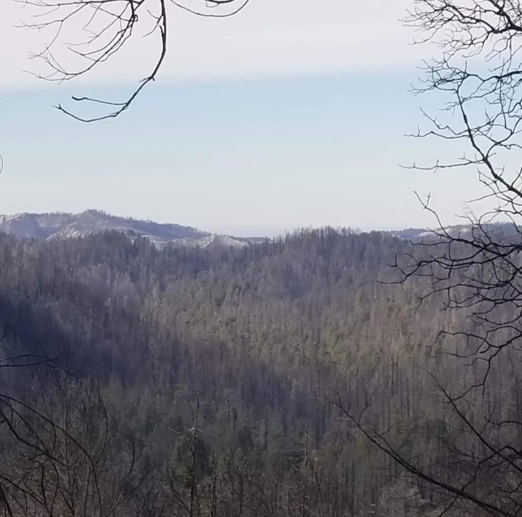 20604 Little Basin Road, Boulder Creek, CA 95006 - #1