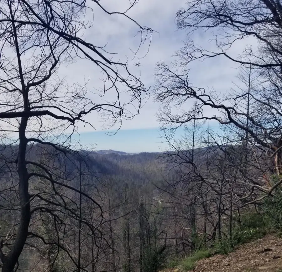 20604 Little Basin Road, Boulder Creek, CA 95006 - #2