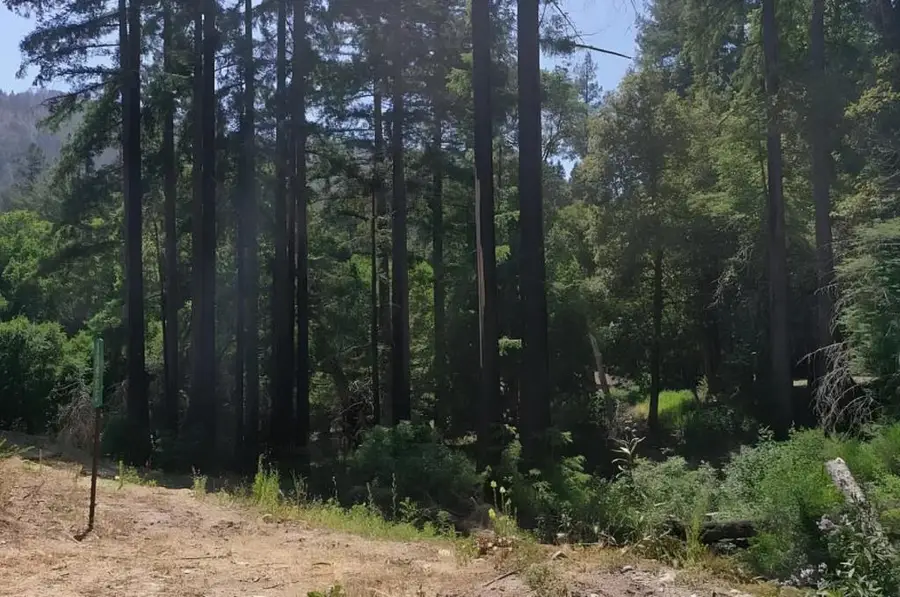 14965 Virginia Avenue, Boulder Creek, CA 95006 - #2