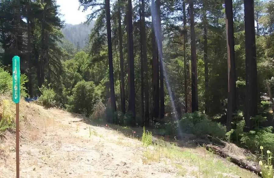 14965 Virginia Avenue, Boulder Creek, CA 95006 - #3