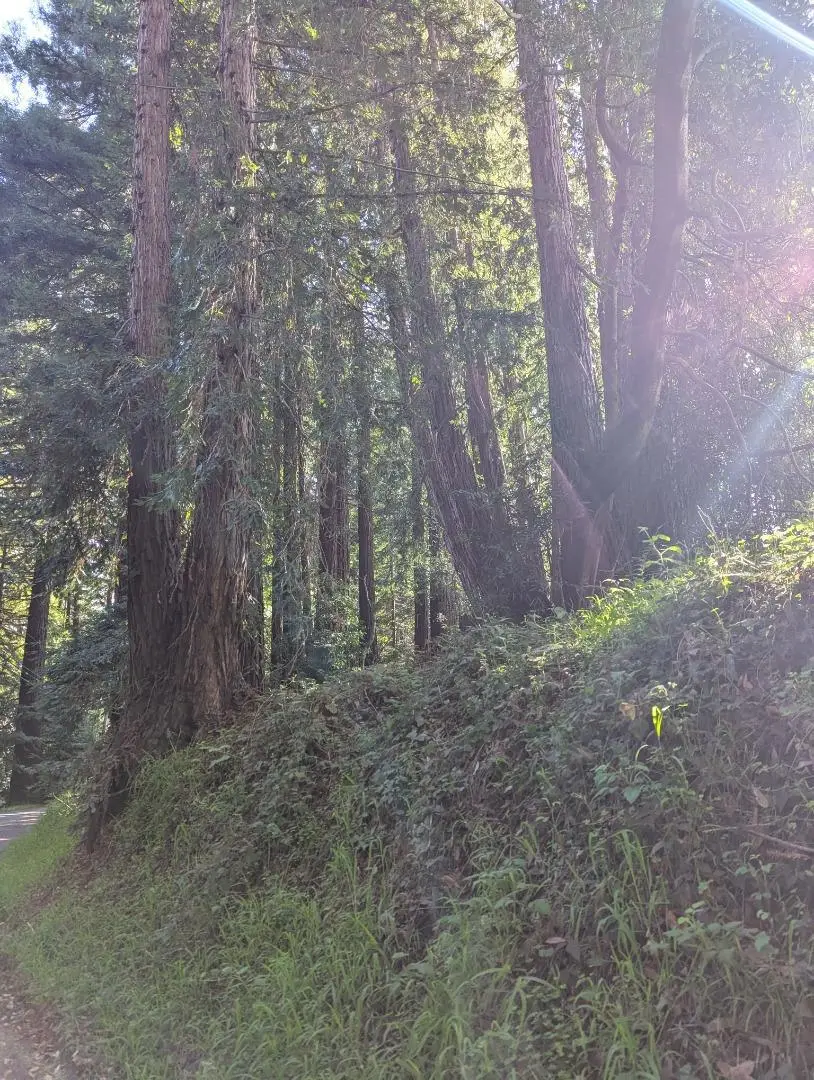 8055 Glen Haven Road, Soquel, CA 95073 - #1