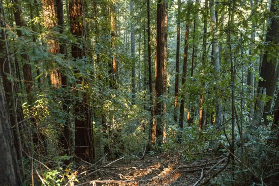 0 Country Club Drive, Ben Lomond, CA 95005 - Image #2