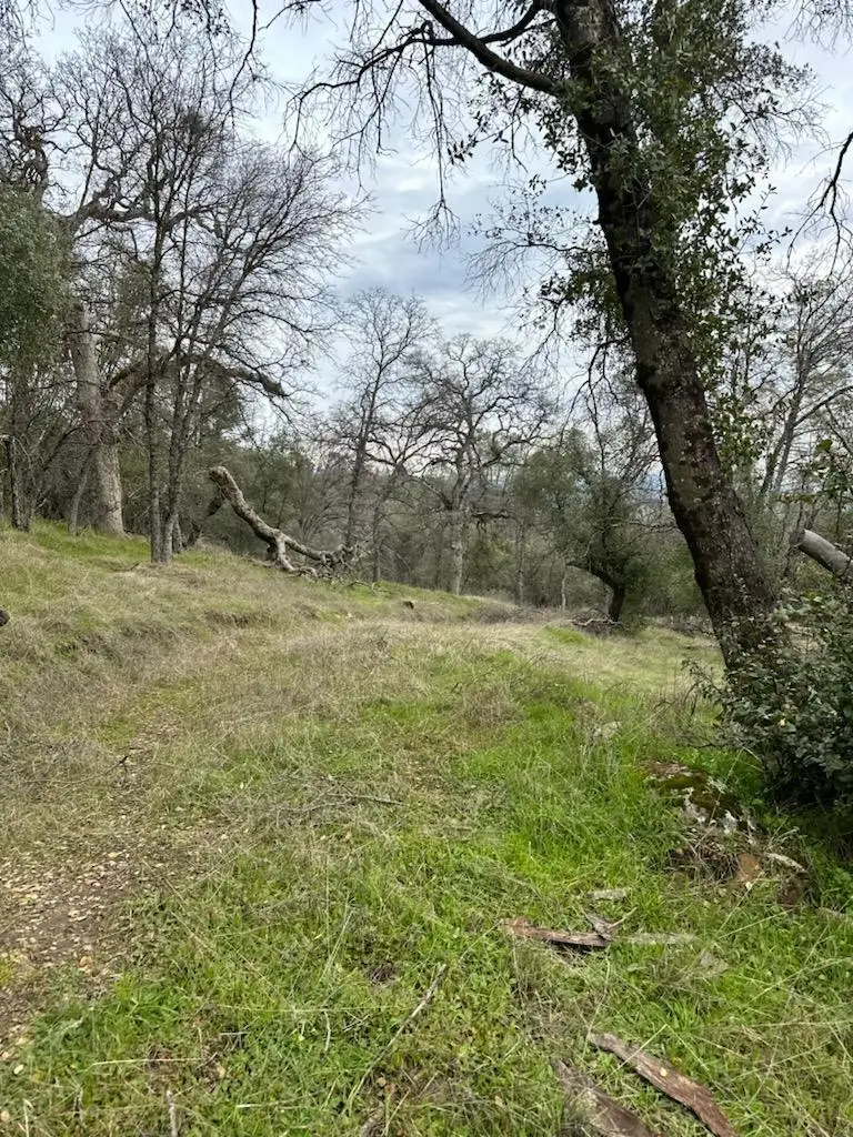 4822 Indian Peaks Road, Mariposa, CA 95338 - Image #3