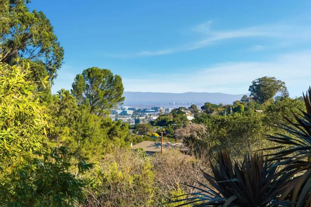 1515 Ridge Road, Belmont, CA 94002 - #1