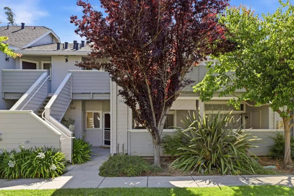 542 Shadowgraph Drive, San Jose, CA 95110 - #1