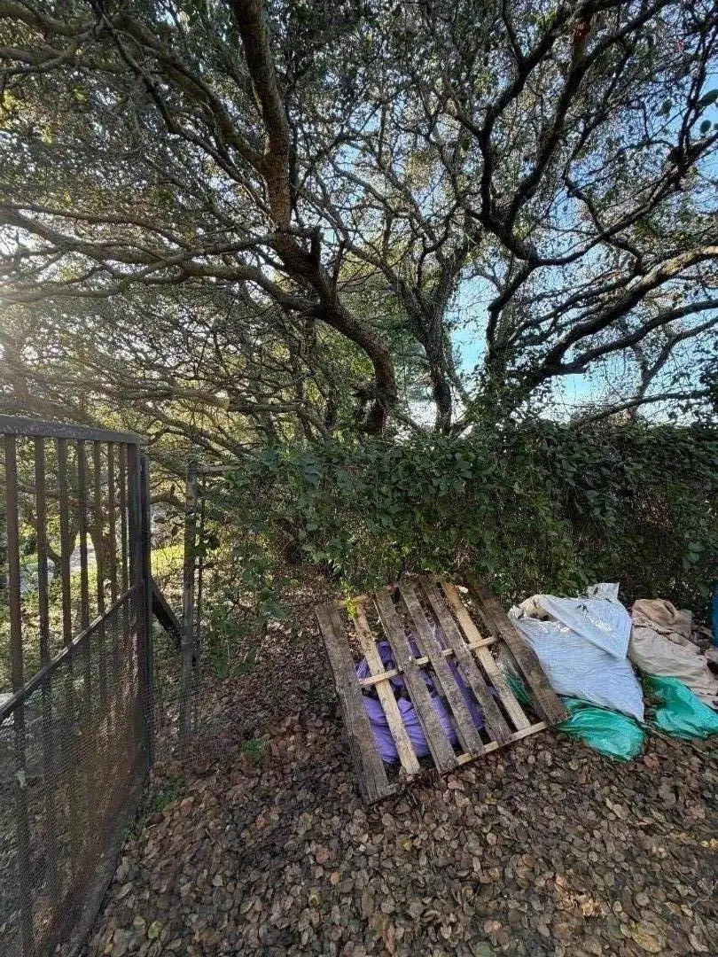 6078 Skyline Drive, El Sobrante, CA 94803 - #2