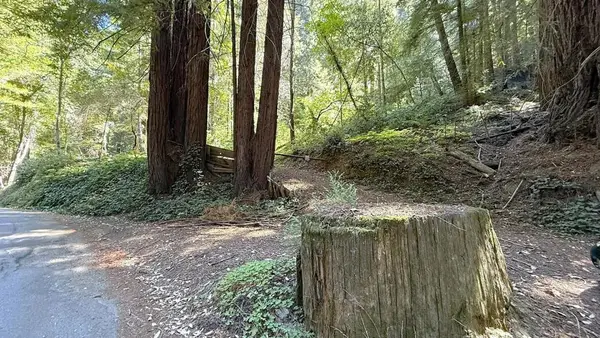 15645 Stetson Road, Los Gatos, CA 95033