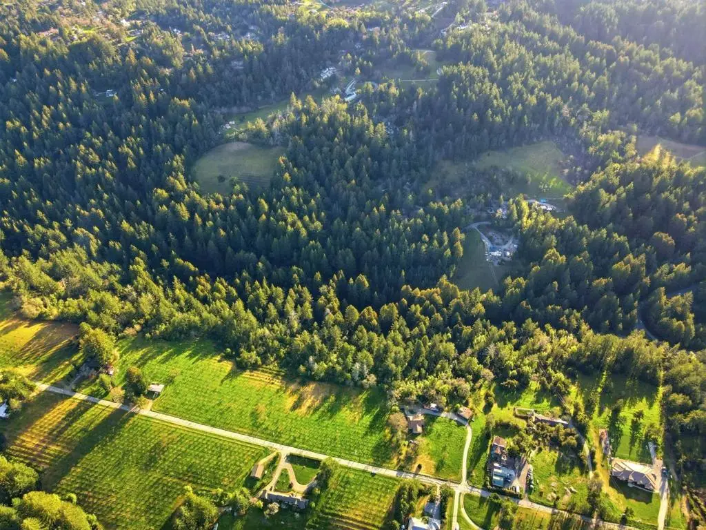 24580 Loma Prieta Avenue, Los Gatos, CA 95033 - #1