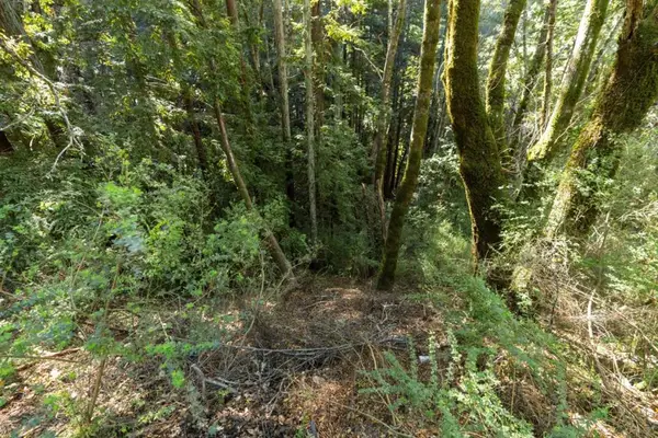 Buckeye Street, Felton, CA 95018