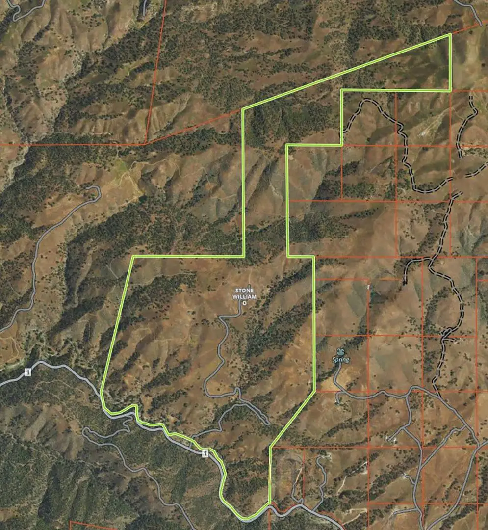 19000 Panoche Road, Paicines, CA 95043 - #1