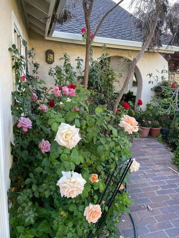 6270 Tweedholm Court, San Jose, CA 95120