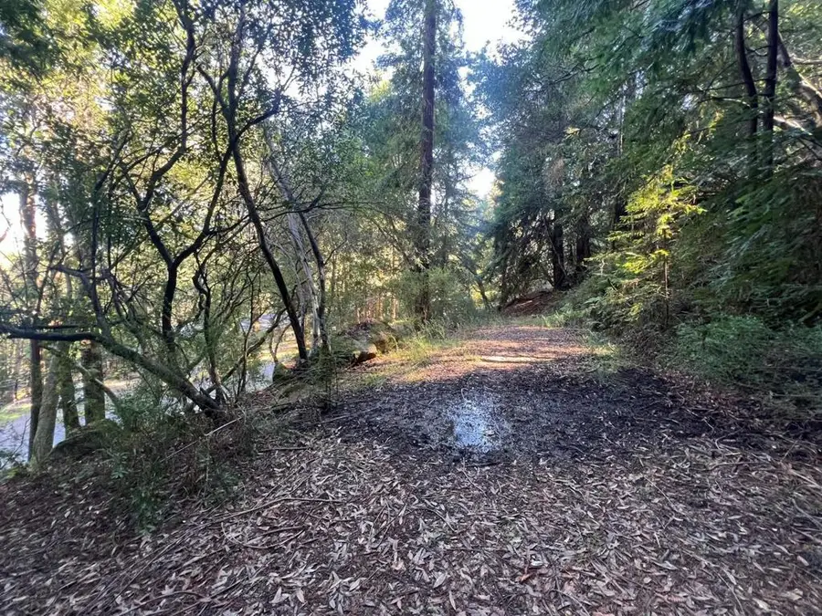 559 Patrol Road, Redwood City, CA 94062 - #2