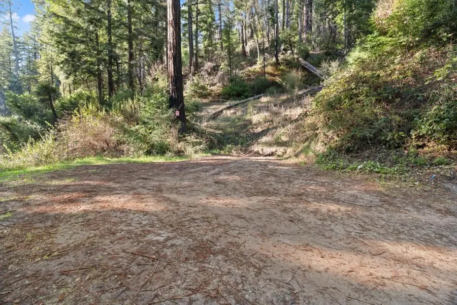 160 Starview Place, Boulder Creek, CA 95006 - #3