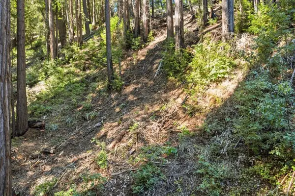 0 Forest Way, Brookdale, CA 95007