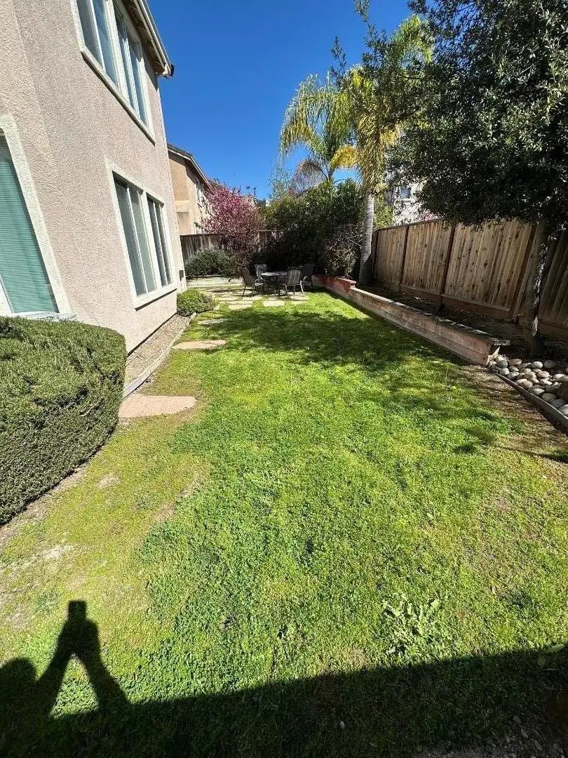 732 Schoolhouse Road, San Jose, CA 95138 - #2