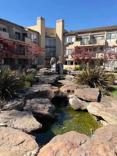 39224 Guardino Drive #204, Fremont, CA 94538 - #3