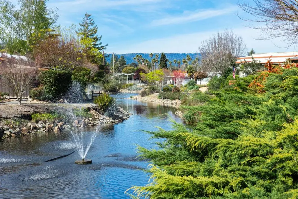 225 Mt Hermon Road, Scotts Valley, CA 95066 - #1