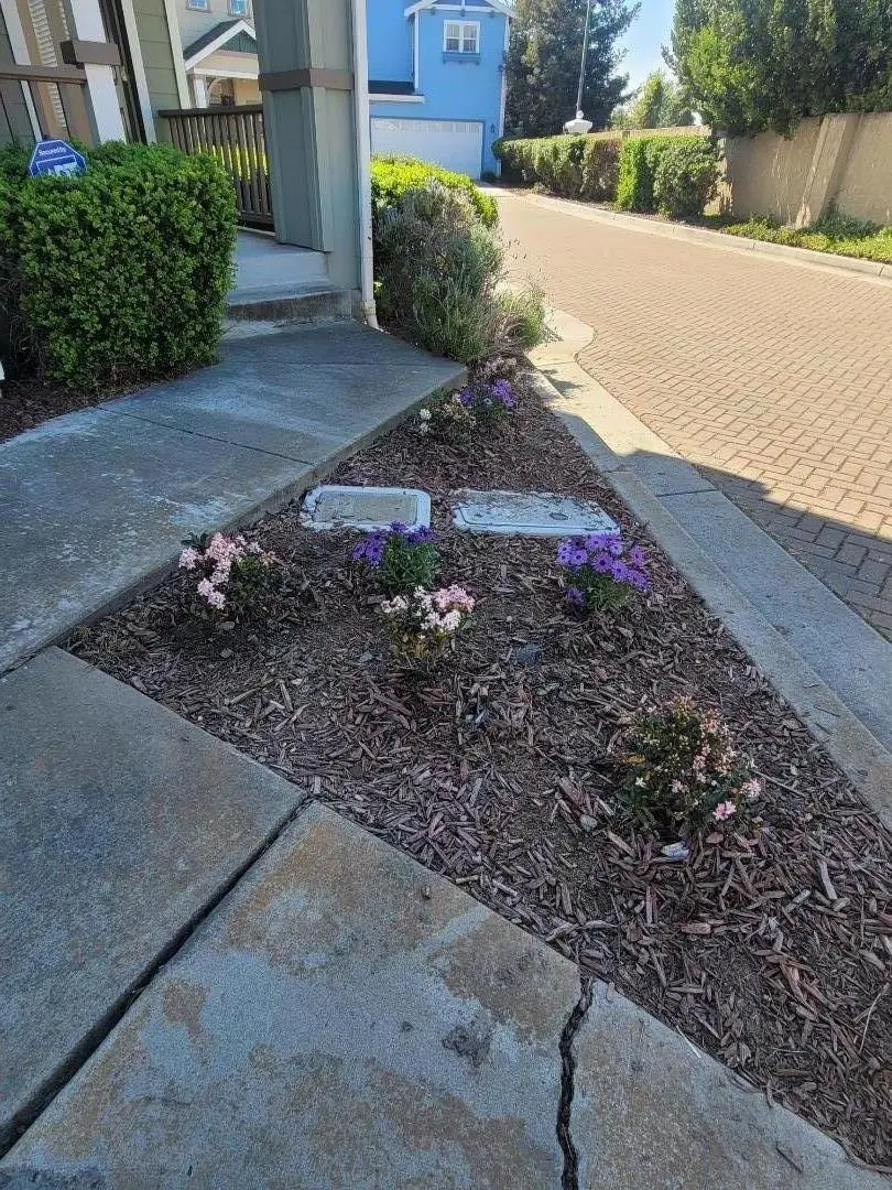 Address Withheld By Seller, Newark, CA 94560 - #3