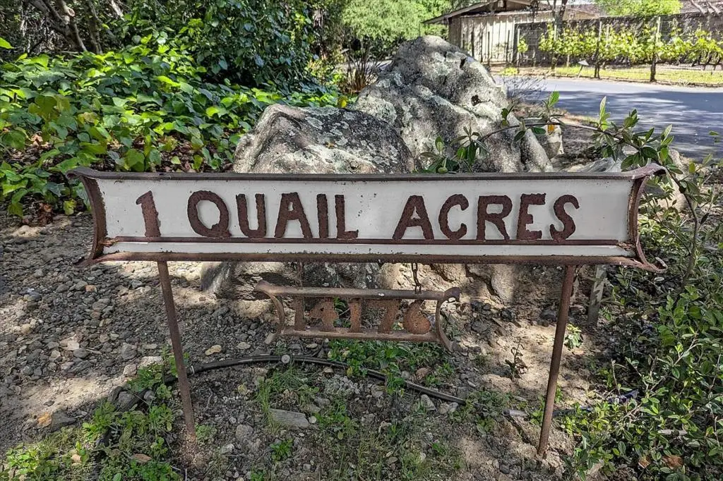 14176 Quail Acres, Saratoga, CA 95070 - #1