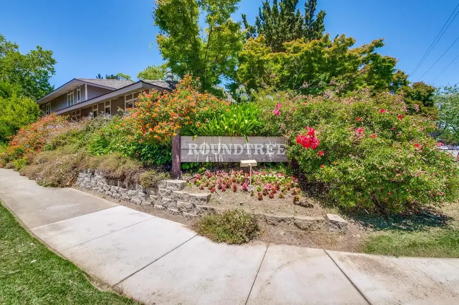 10558 Red Fir Court, Cupertino, CA 95014 - #3