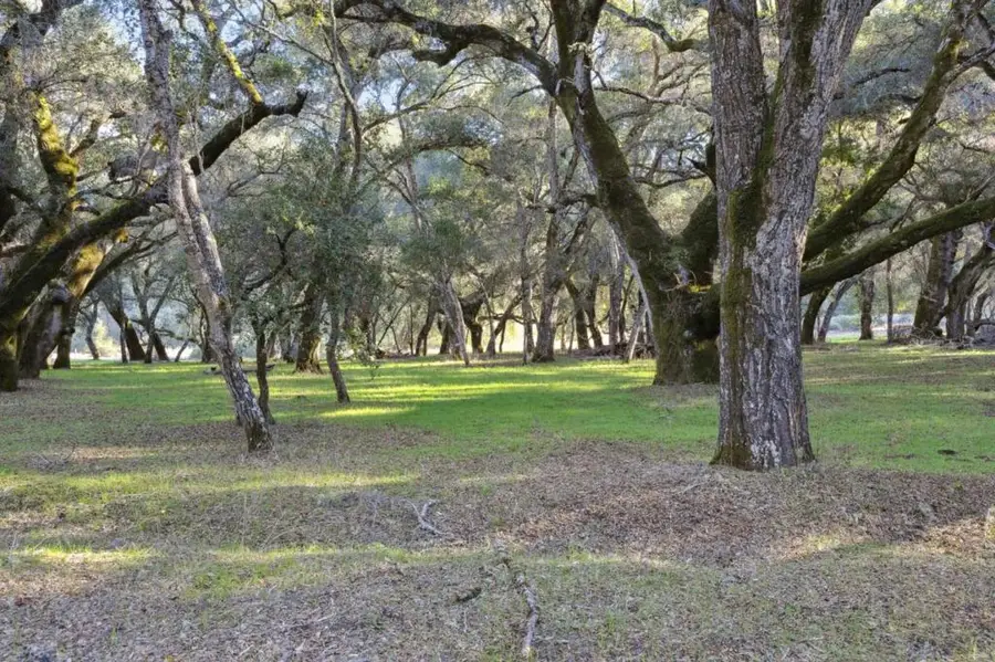 11 Arroyo Sequoia, Carmel, CA 93923 - #2