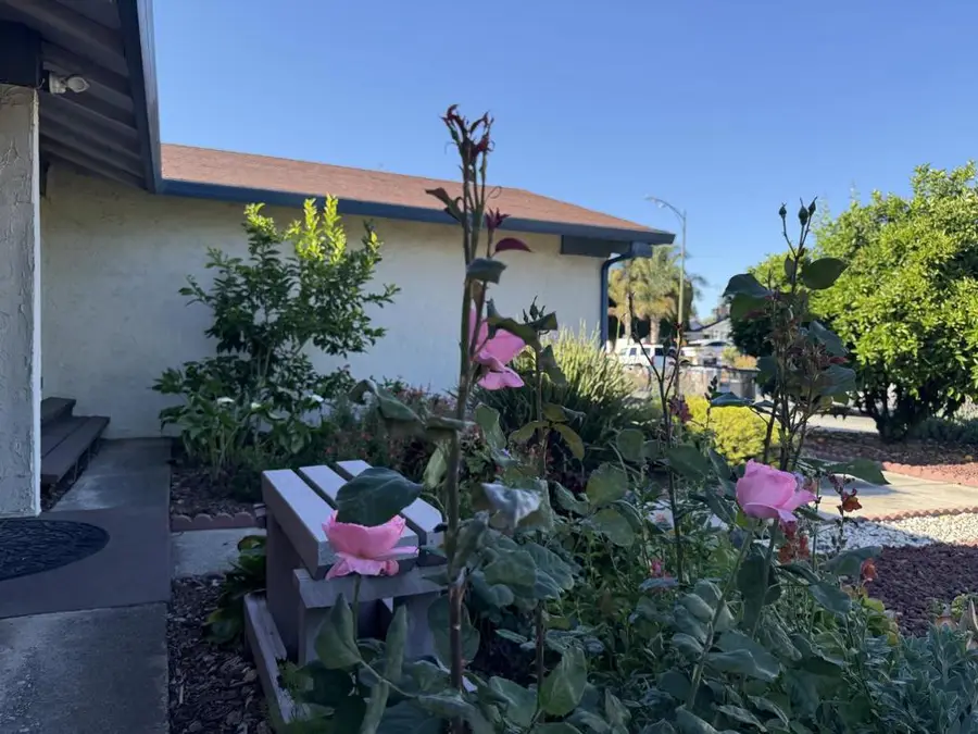 441 Clogston Court, San Jose, CA 95133 - #2