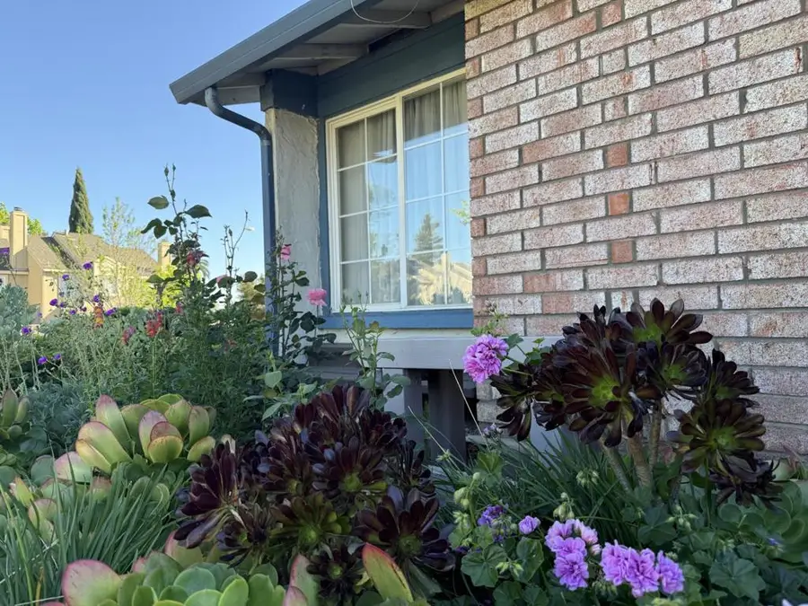 441 Clogston Court, San Jose, CA 95133 - #3