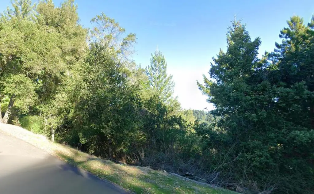 0 Hutchinson, Los Gatos, CA 95033 - #1