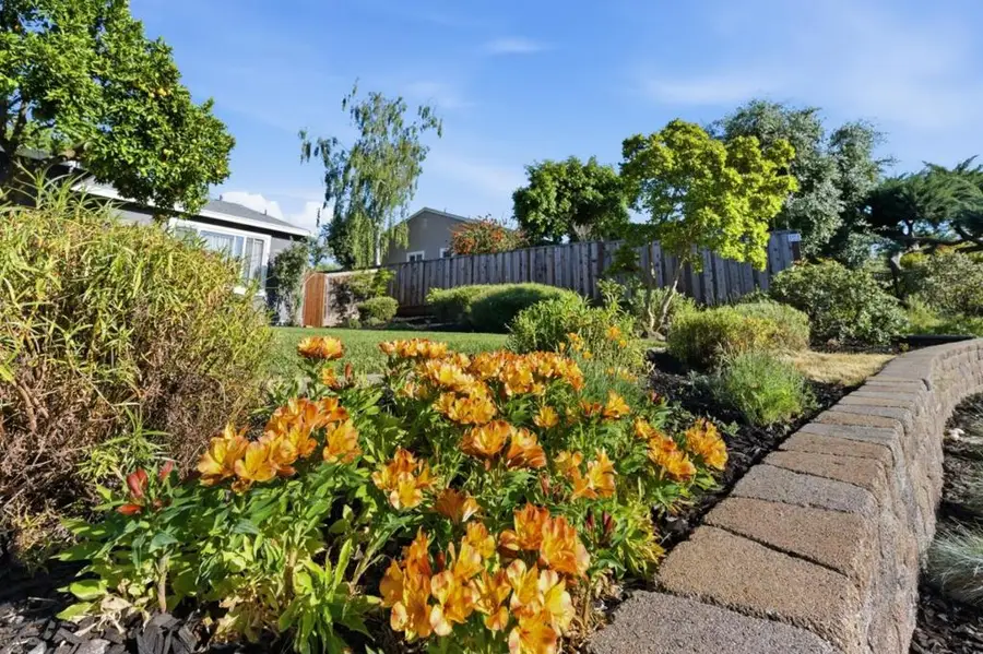 536 Coralie Drive, Walnut Creek, CA 94597 - #3