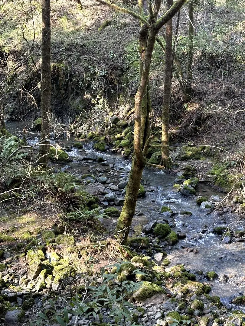 11930 Graton Road, Sebastopol, CA 95472 - #2