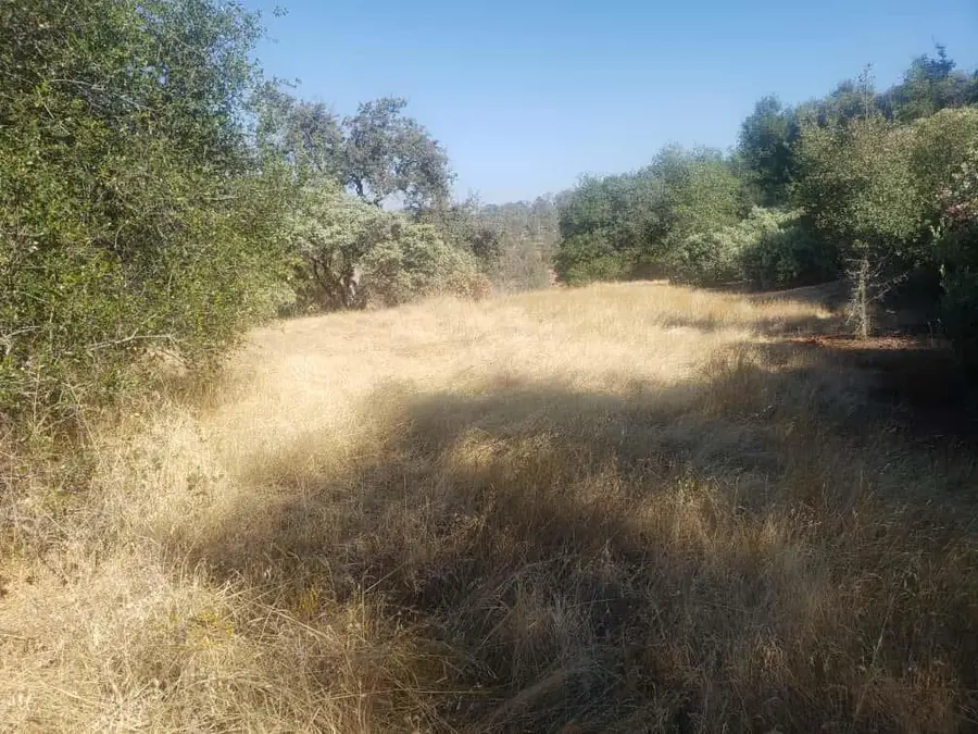 29763 Stoney Creek, Tollhouse, CA 93667 - #3