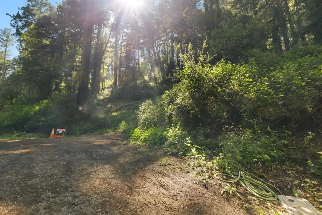 146 Starview Place, Boulder Creek, CA 95006 - #1