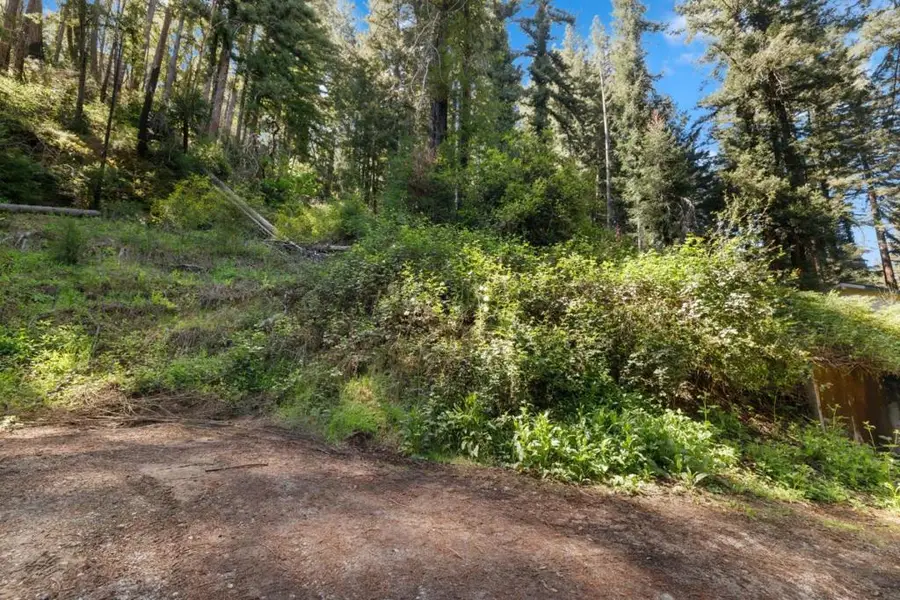 146 Starview Place, Boulder Creek, CA 95006 - #2