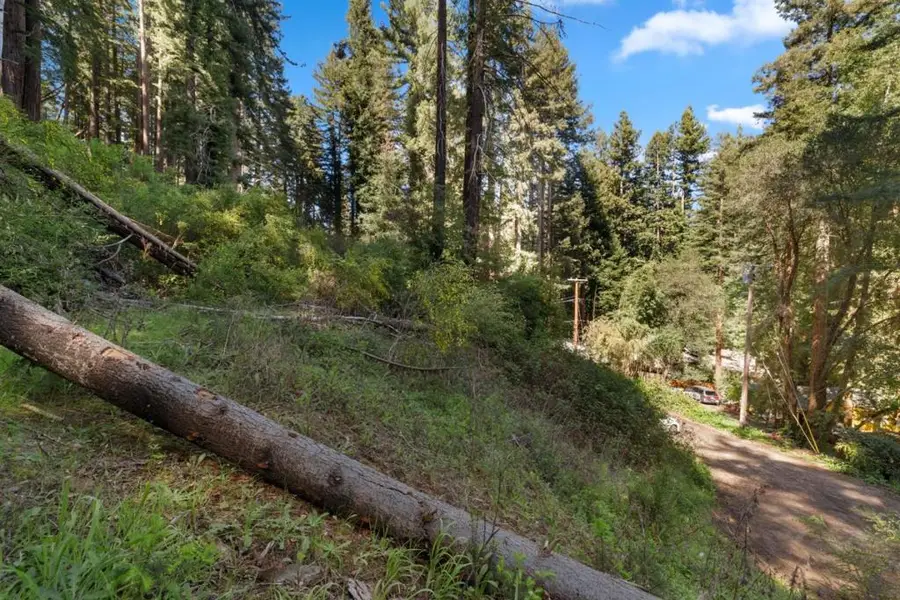 146 Starview Place, Boulder Creek, CA 95006 - #3