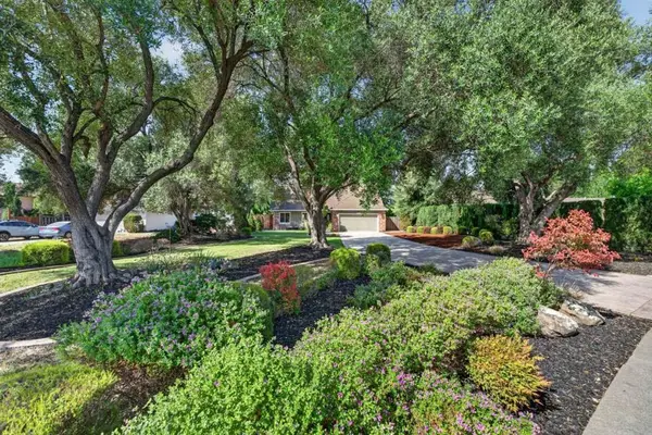 298 Mcduff Avenue, Fremont, CA 94539