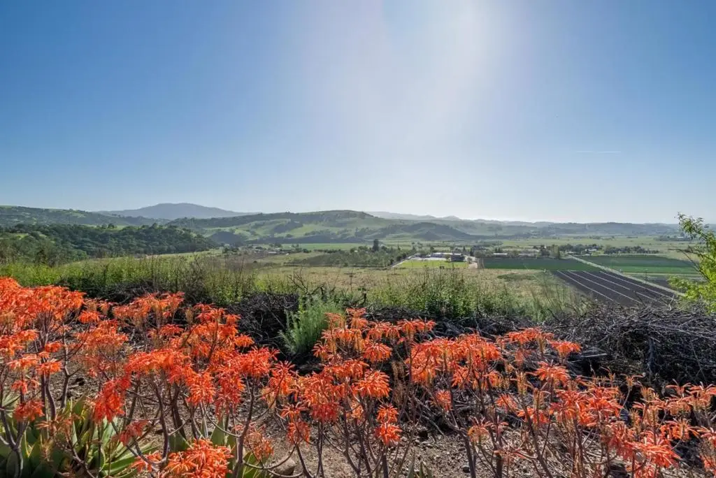 5181 Southside Road, Hollister, CA 95023 - #1