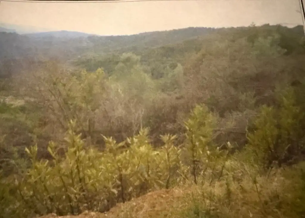 0 Croy Ridge Road, Morgan Hill, CA 95037 - #1