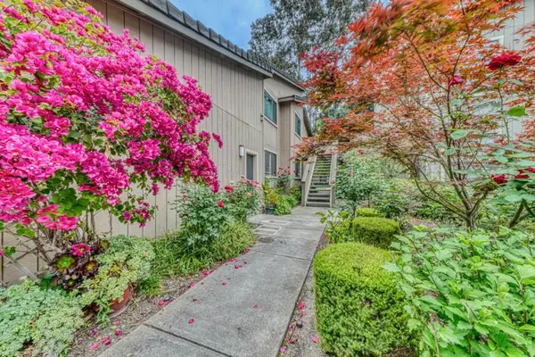 195 Del Monte Lane, Morgan Hill, CA 95037