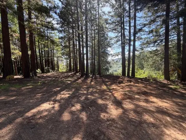 7175 Redwood Retreat, Gilroy, CA 95020 - #1