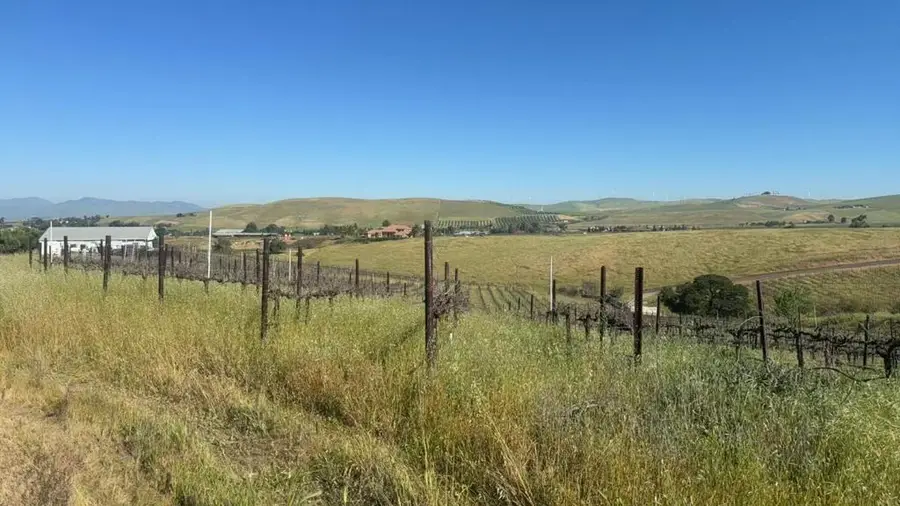 10011 Tesla Road, Livermore, CA 94550 - #3